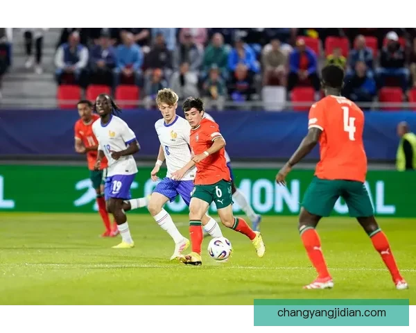 保加利亚对阵荷兰欧洲赛场实力碰撞与战术博弈前瞻全面解析双方胜负关键走势