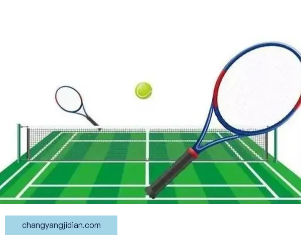 VS球拍性能解析与选购指南助你全面提升竞技表现体验稳定操控实力水平 VS球拍性能解析与选购指南助你全面提升竞技表现体验稳定操控实力水平