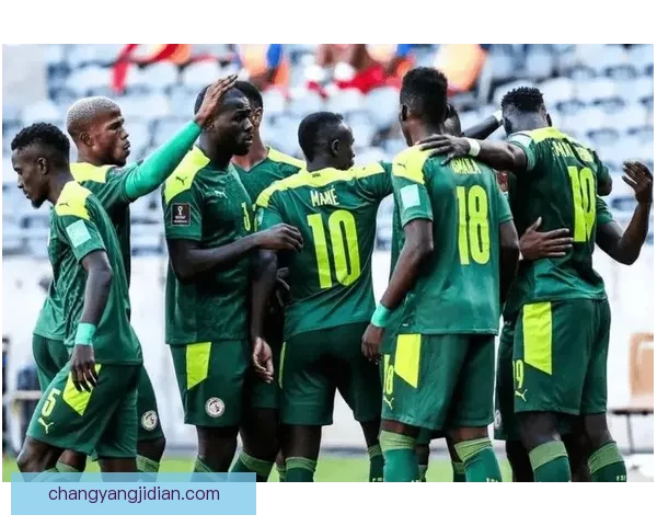 世界杯小组赛瑞士对阵厄瓜多尔攻防博弈引发出线悬念焦点之战牵动全球目光