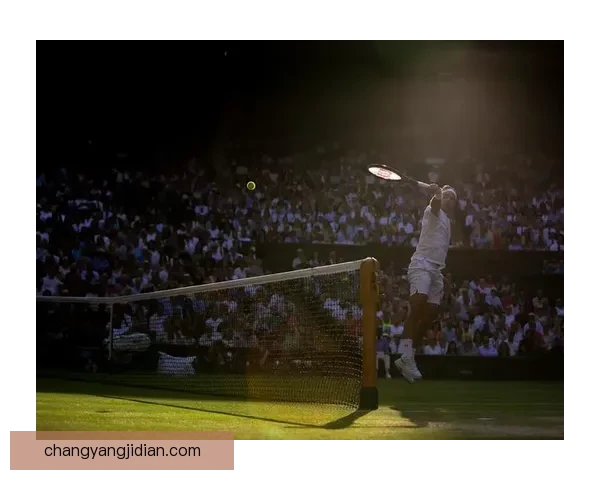 2017温网决赛费德勒轻取兹维列夫书写辉煌新篇章 2017温网决赛费德勒轻取兹维列夫书写辉煌新篇章